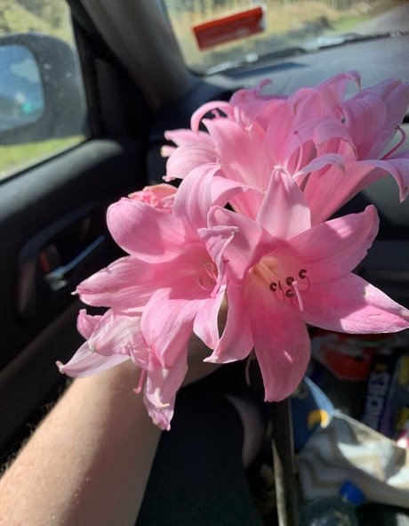 nasty free onlyfans free sexy galleries