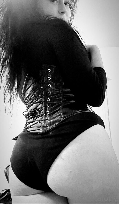 payzeta model images