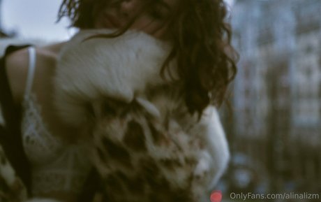 alinalizm high quality star gallery