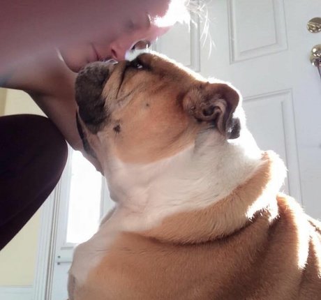 wife onlyfans art xxx photo