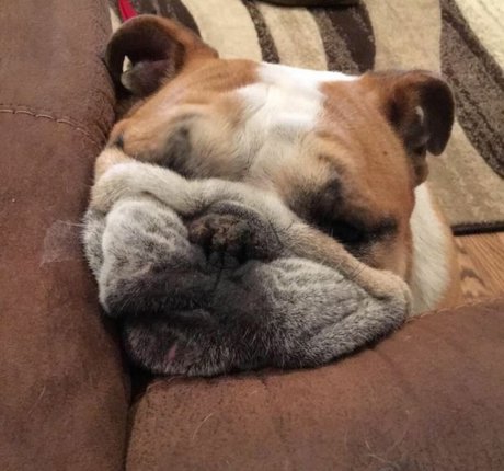 Courtney Craib star best photo