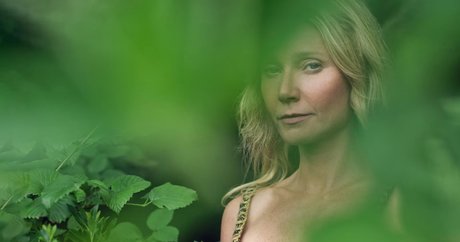 Gwyneth Paltrow star hd galleries