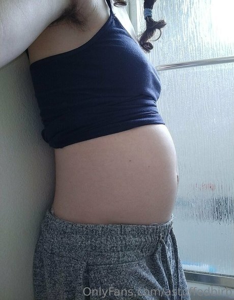 astuffedbirb pretty star image