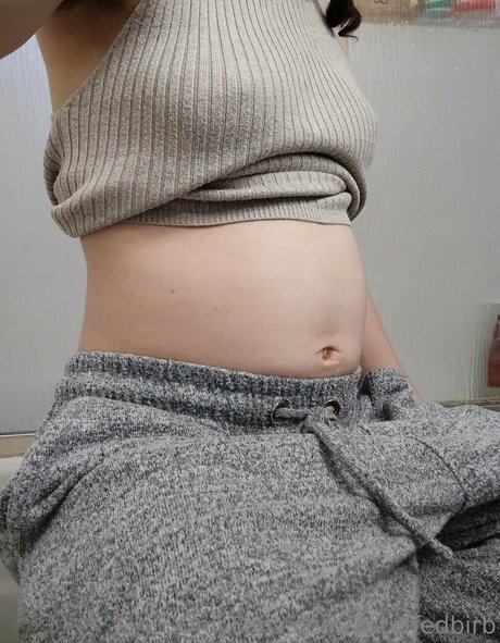 astuffedbirb star pretty pictures