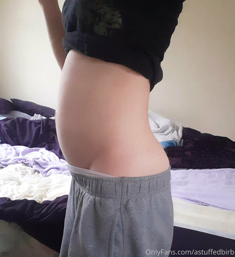 astuffedbirb star pretty galleries