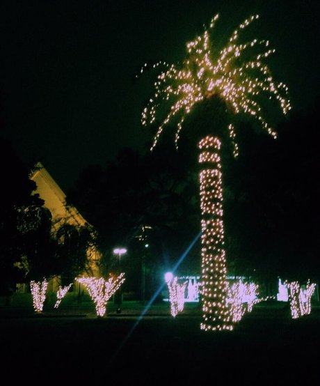 Ashton Hatchell hd pornstar pic