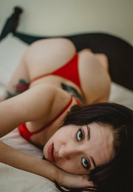 miss whitetrash nice pornstar gallery