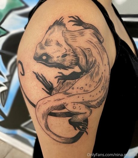 kitchen onlyfans hd galleries