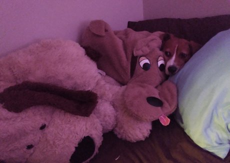 imamazingbitch naked model photo