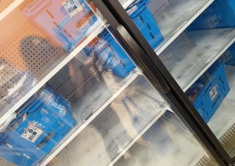 wetkitten666 model pictures