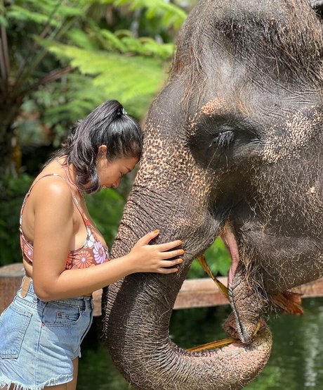 blowjob brunette onlyfans pornographic archive