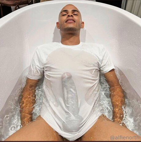 alfienorthfree star nude archive