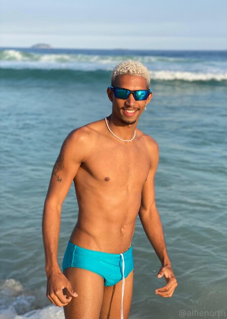 alfienorthfree Profile Pic