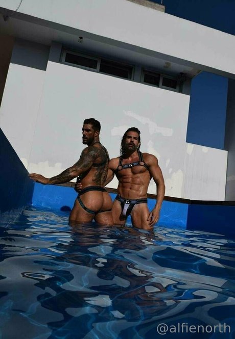 alfienorthfree sex star picture