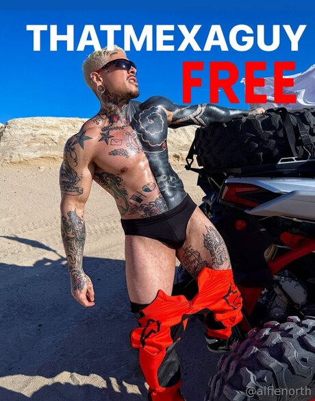 alfienorthfree high quality pornstar img