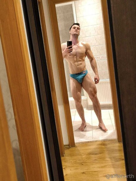 alfienorthfree star porn img