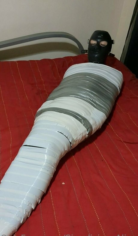 sissyliciousalice adult actress pics