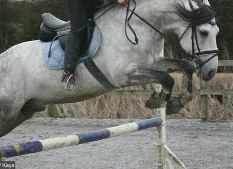 cindarellalou high quality model images