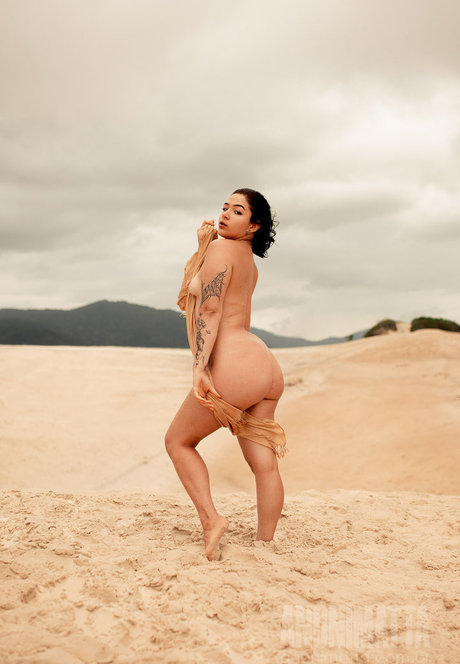 Bimejia star galleries