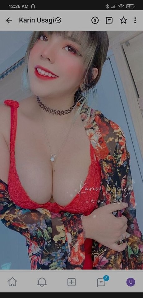 Karin Usagi high quality actress picture