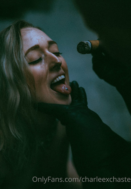 charleexchaste porn star archive