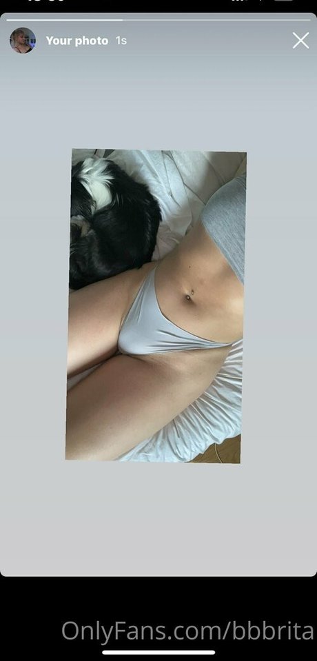 bbbrita nudes pornstar image