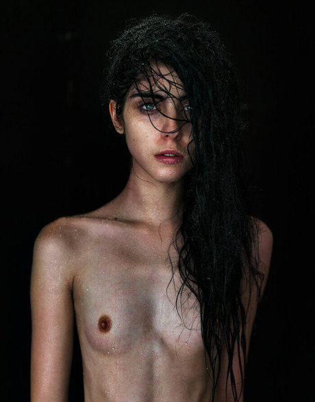 Bec Paws star art images