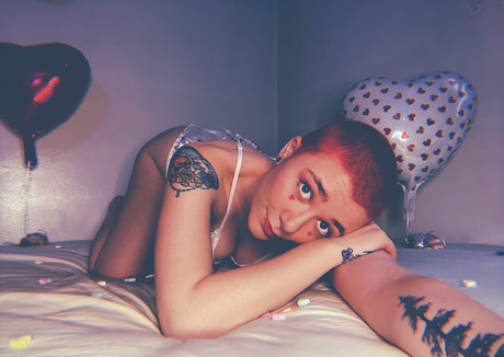 filomenastar star perfect images