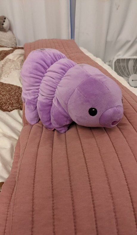 ebony fuck onlyfans top img