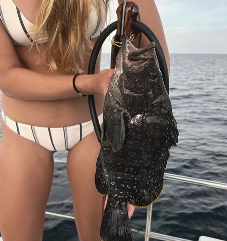 Kelly Young hd pornstar picture