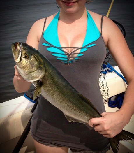 Krisea Marina star sexy archive