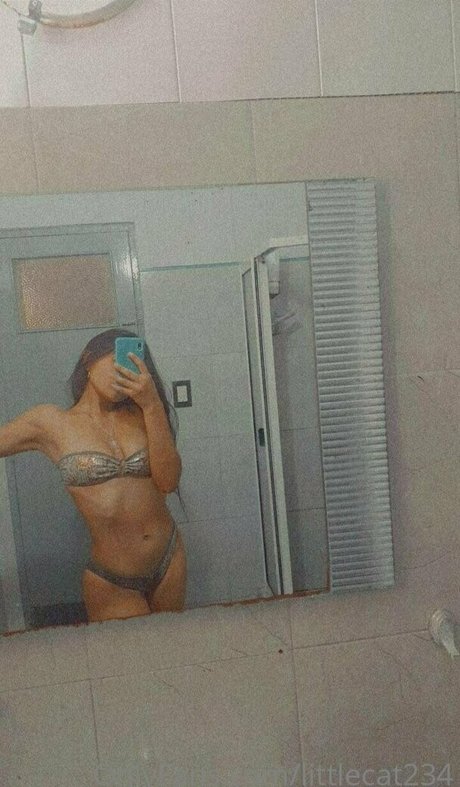 littlecat234 pornstar free pic
