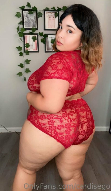 cardisego model image