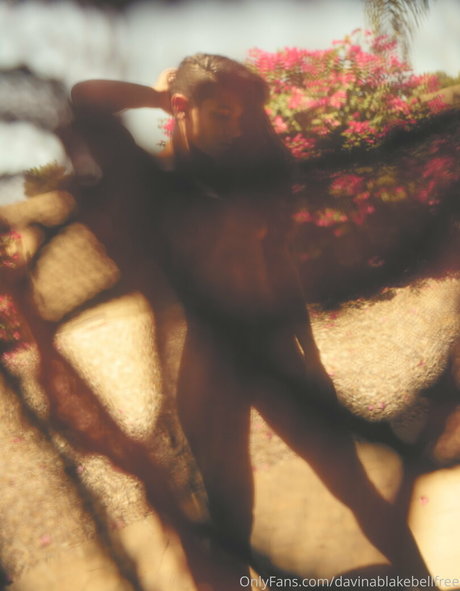 davinablakebellfree pretty actress pictures