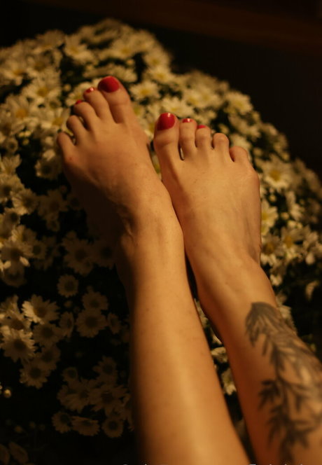 bbw lesbian onlyfans beautiful xxx img