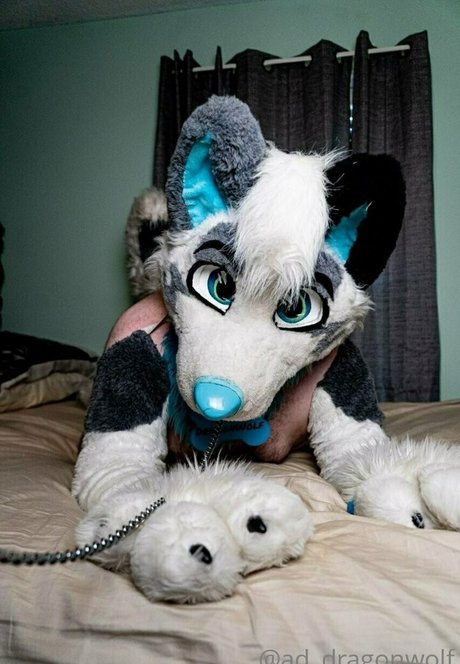 ad dragonwolf pornstar top images