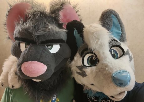 ad dragonwolf pretty star photos