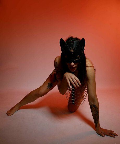 jinetamaria high quality star photos