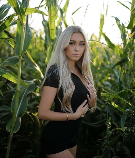 Payton Ramolla pornstar adult galleries