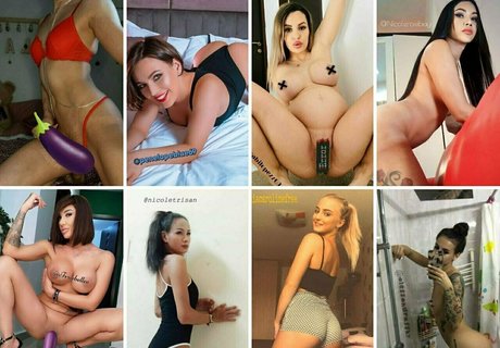 akitalea pornstar beautiful galleries