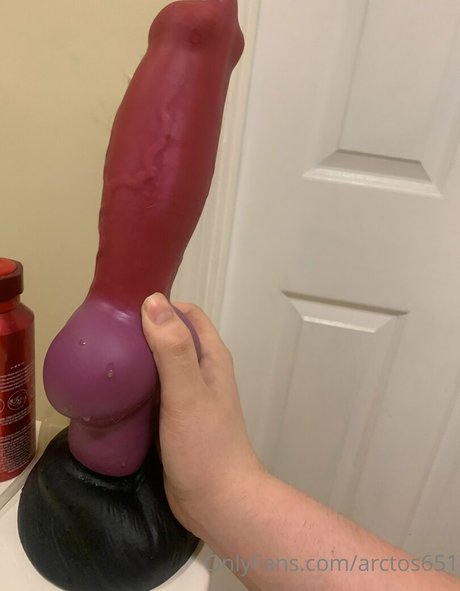 arctos651 model pornographic galleries