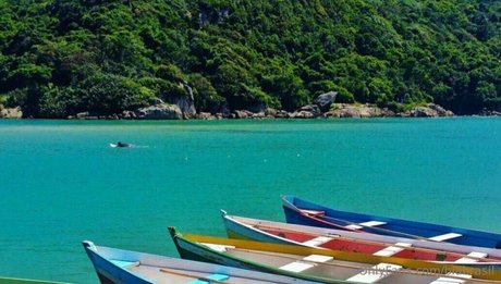 biabrasil free star pics