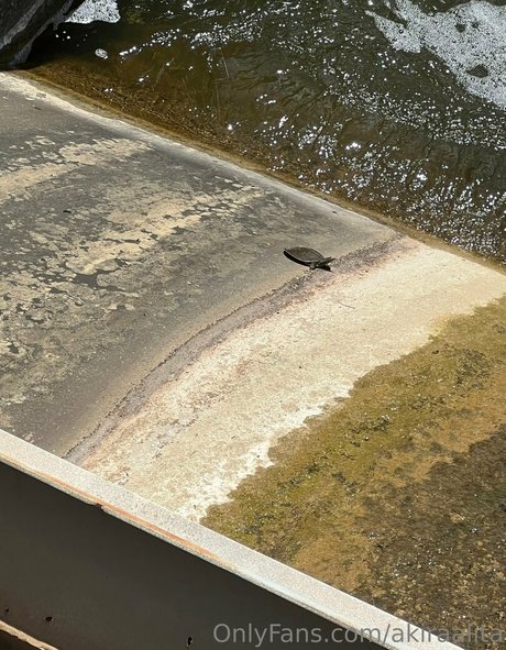 trimmed onlyfans sexy nudes img