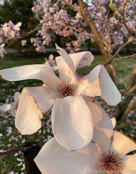 chatting onlyfans best picture