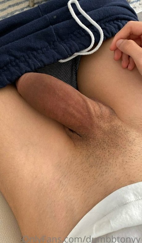 dumbbtonyy art model gallery