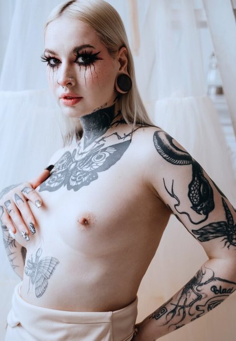 dariamilk exclusive star img