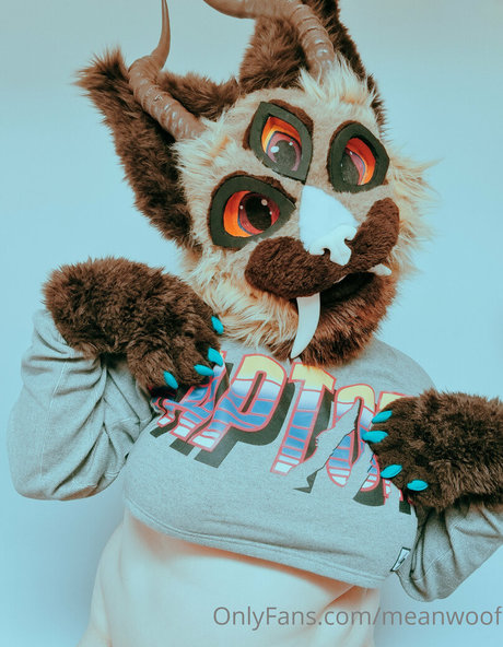 meanwoof star best image