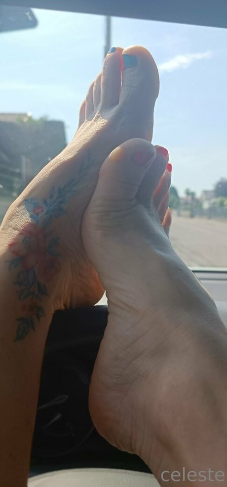 gay ginger onlyfans xxx images