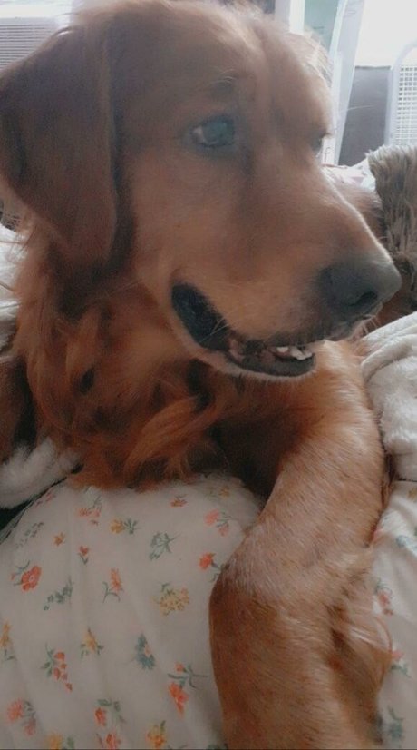 beach blowjob onlyfans pretty photo