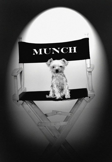 stormydaniels model xxx galleries